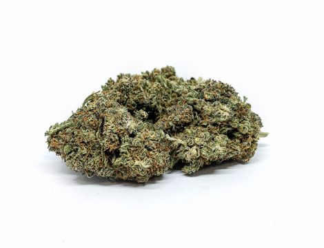 Sativa Poland Susz CBD Super Jamaica - 4